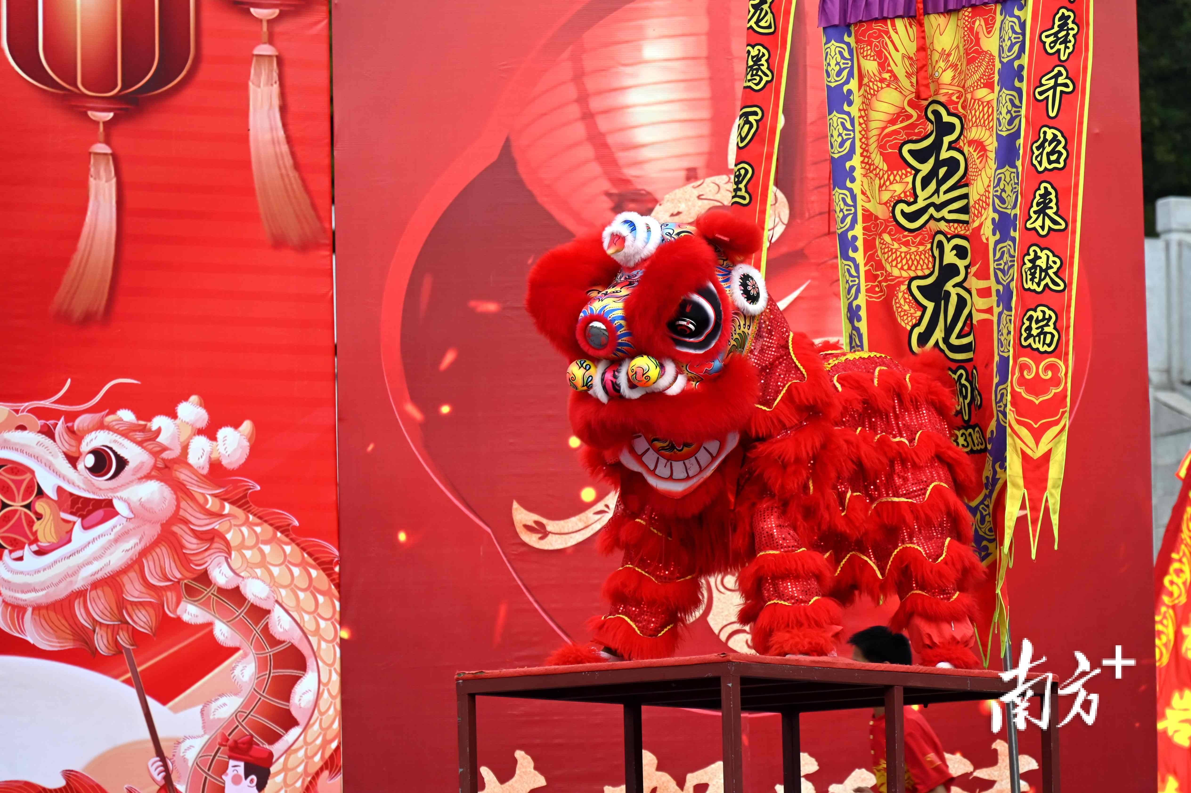 视频直击龙腾狮跃贺新春