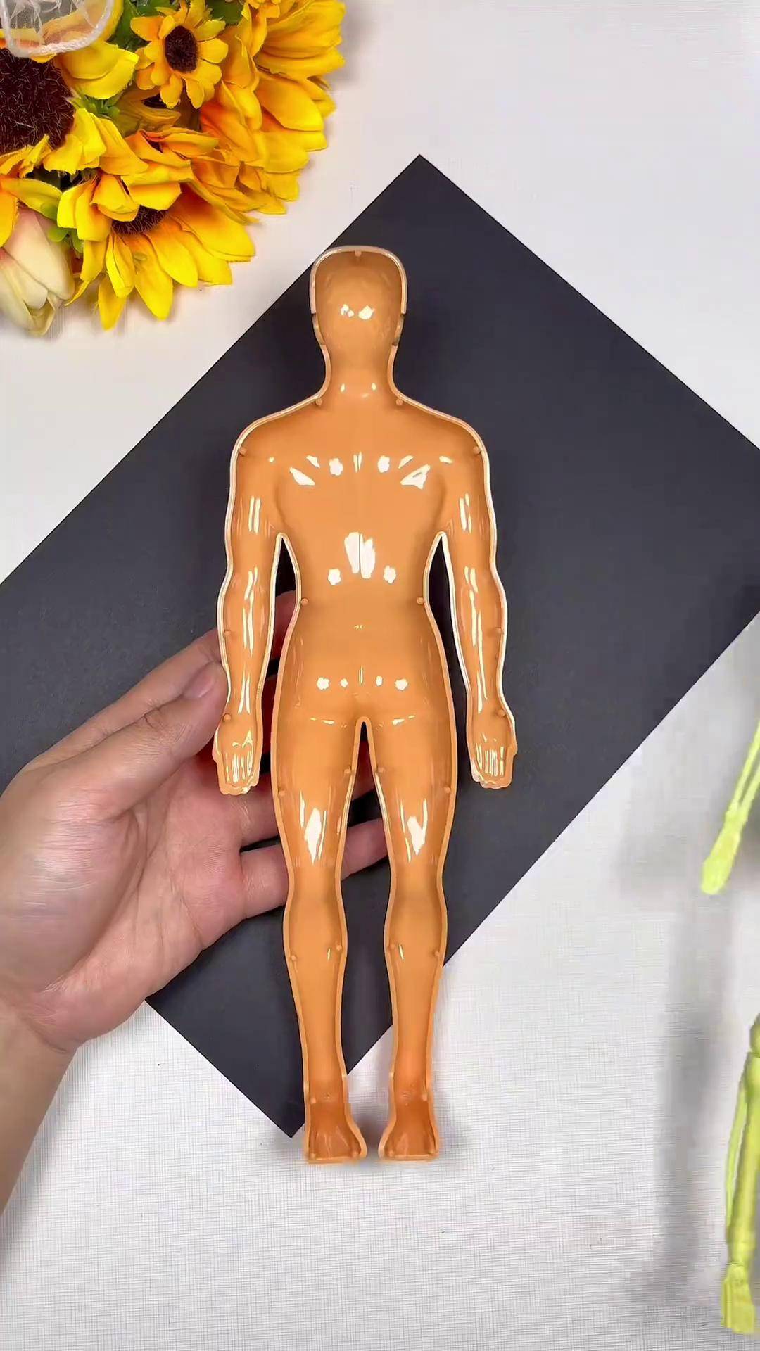 孩子都会好奇自己的身体,可以给他准备这个人体模型,让孩子更了解自己