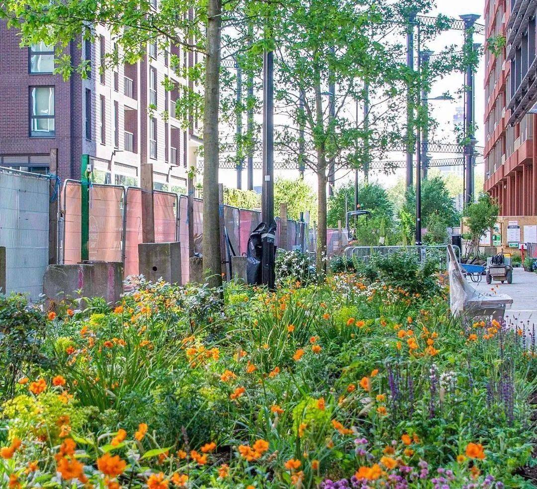 nigel dunnett 的自然主义种植探索