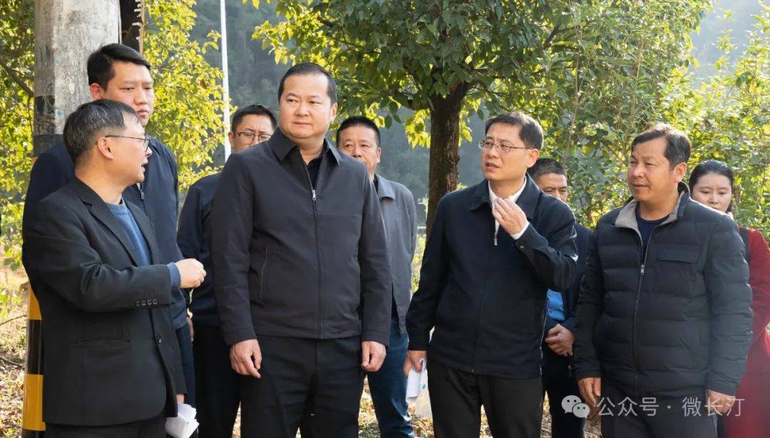 2月11日,长汀县委书记赖进益带队调研2025年城市重点建设项目