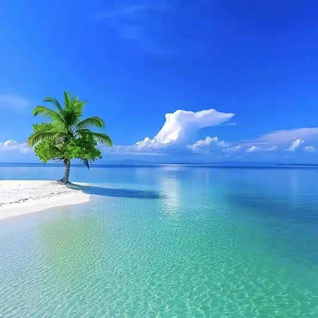 超美超治愈的风景头像