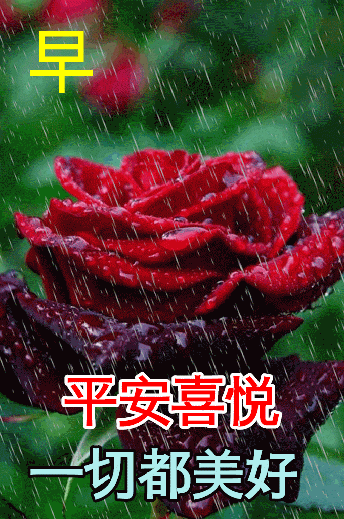 ​​2月15日早上好祝福语图片及问候动态表情图片大全!