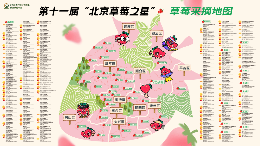 开云体育app第十一届“北京草莓之星”采摘地图新鲜出炉市集活动引领甜蜜风潮(图5)