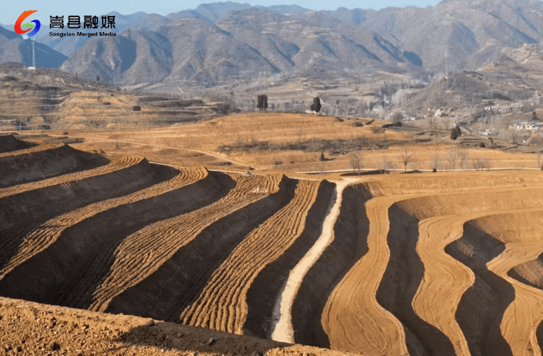 旧县镇:烟田起垄热潮涌 旧县产业展宏图