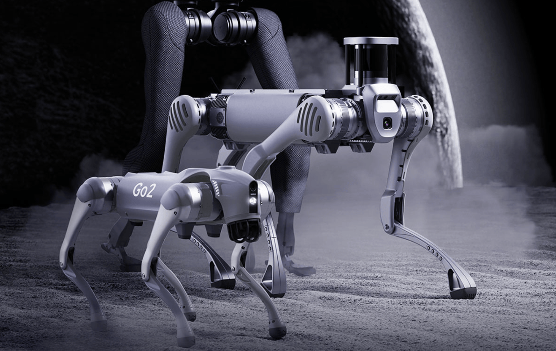 央视总台首款摄像机器狗探秘“死亡森林”哀牢山，搭载 8K 超高清镜头-百货之家