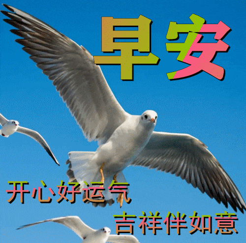 840660353ecf470d8caa1c825eb33152.webp