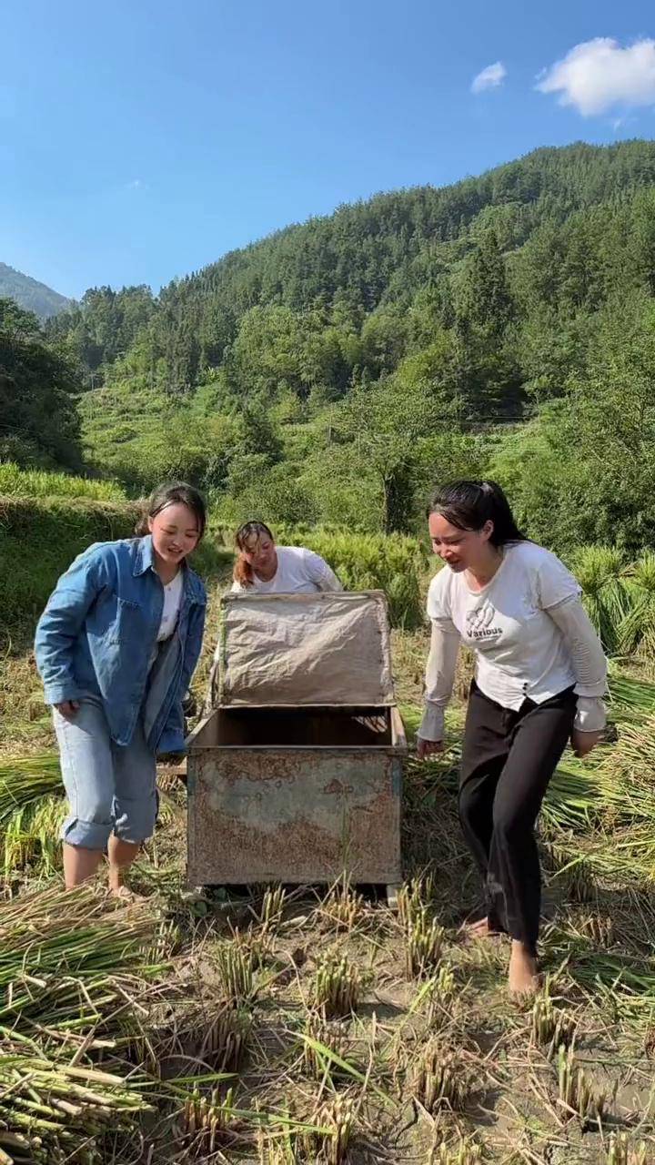 说来给帮忙打谷子的,你是迷路了吗?