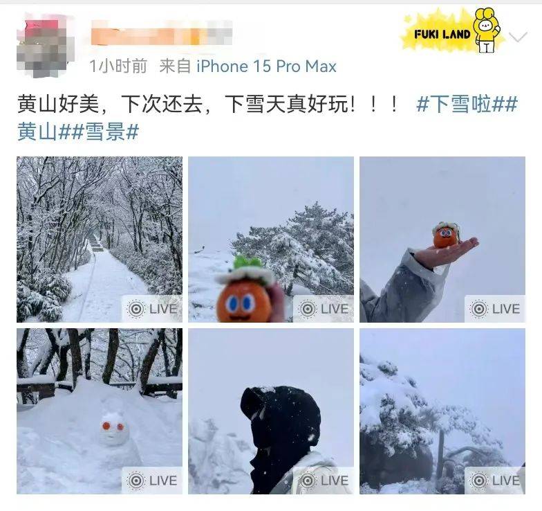 -5℃！安徽下雪了！但反轉(zhuǎn)來(lái)了，20℃、25℃+ 超級(jí)大回暖就在下周！