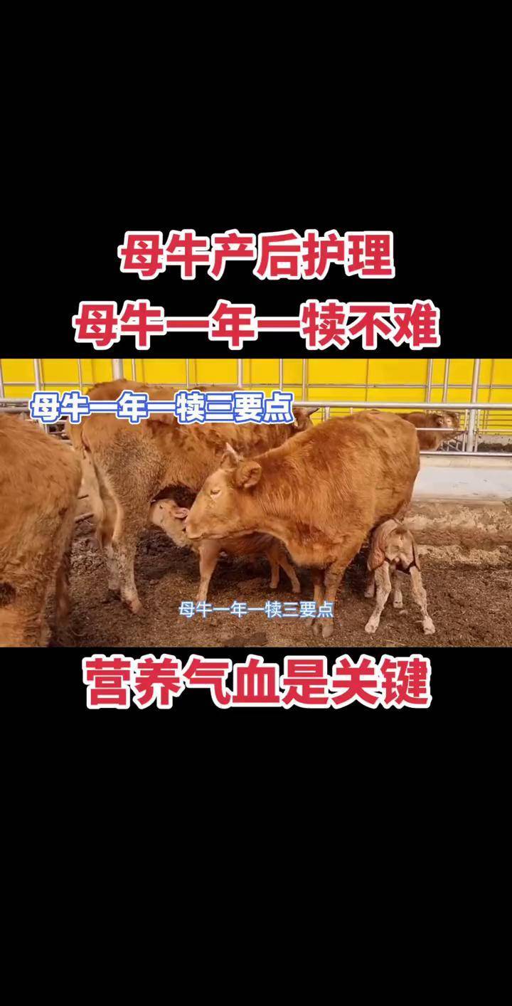 北医三院生殖中心院士介绍黄牛联系方式-北医三院生殖中心李红珍医生为什么找不到 