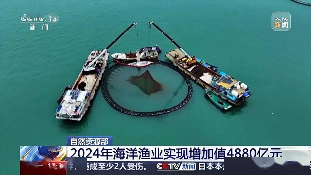 《2025中国海洋经济发展指数》发布 海洋经济发展势头强劲