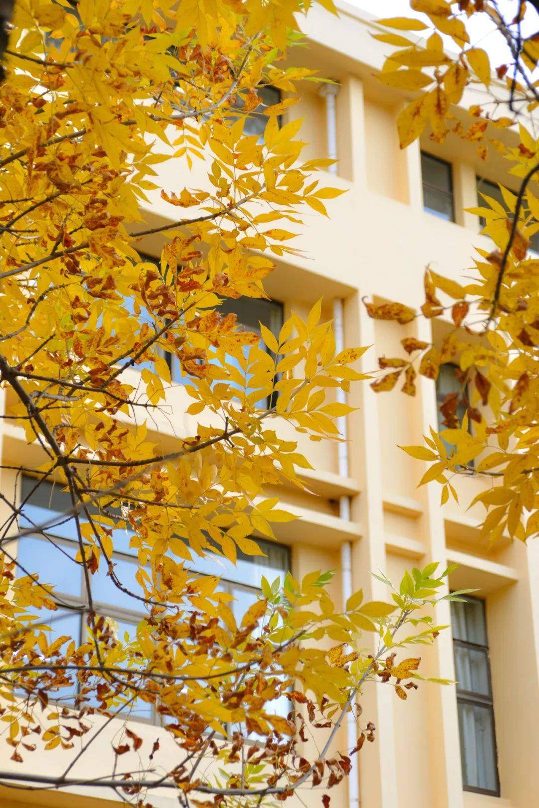 校园大赛主题大赛作品(校园比赛主题)