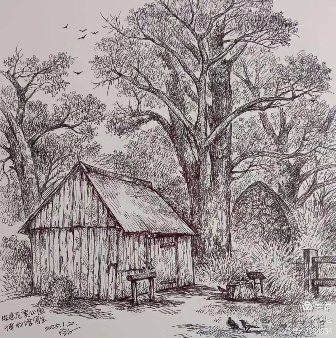 旅澳画家蒋定文先生钢笔画写生