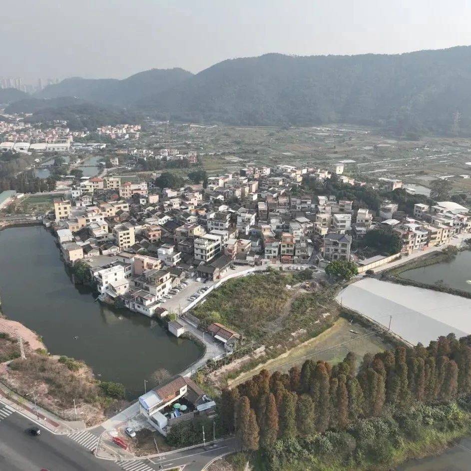 【奋战“百千万工程”】棠下镇乐溪村:守护绿水青山,激活百业兴村_集体经济_对比_水稻