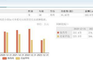 锦龙股份2024年营收最高预增296%，56岁董事长张丹丹2023年降薪近五成