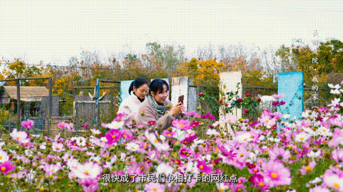 美丽庭院·你我共同的家园(图6)