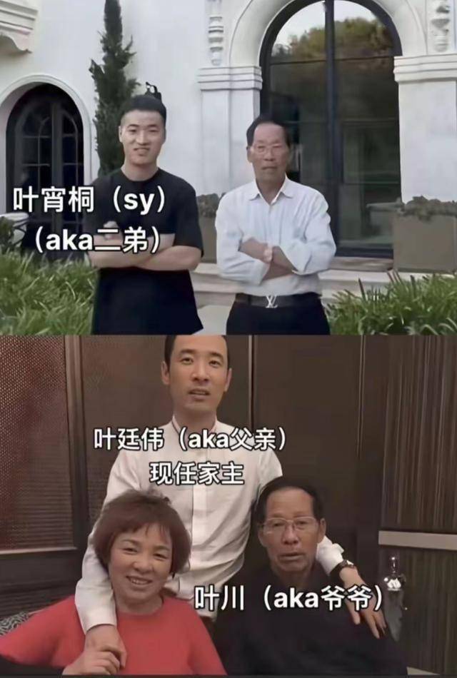 顶流郑爽沦为400亿诈骗犯