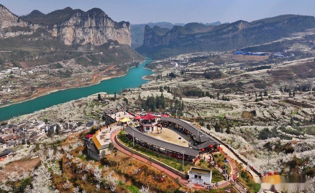 毕节凹河:万亩樱海绘就春日浪漫,邀您共赴梦幻之约!