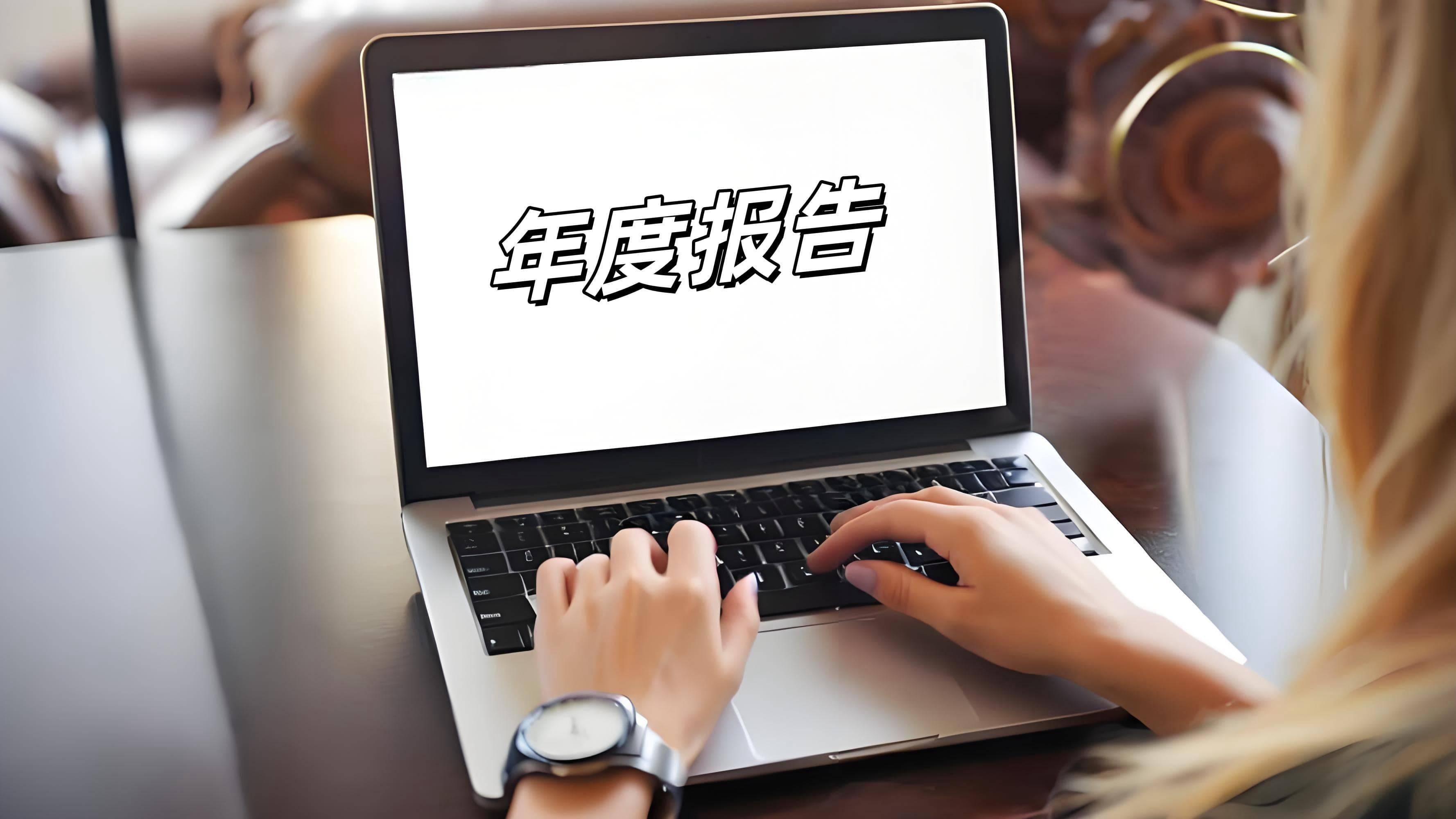 宁德时代2024年度报告：业绩背后的挑战与机遇，2024宁德时代年报解读：营收下滑下的利润增长密码