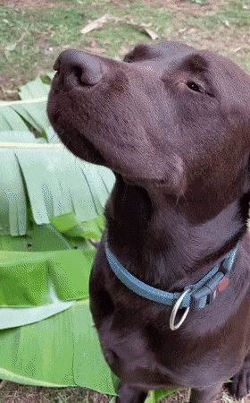 280_450竖版 竖屏gif 动态图 动图