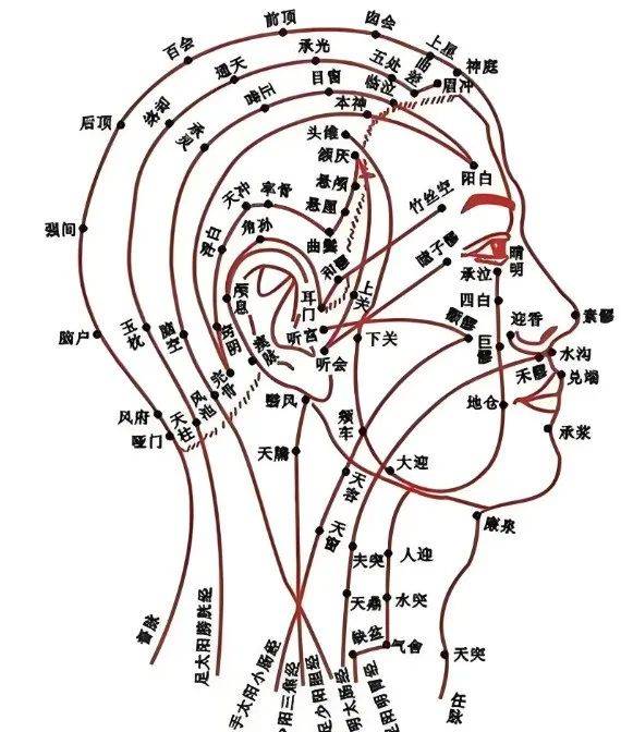 春季养生,从"头"开始,头疗一次疏通8条经络,50个穴位!