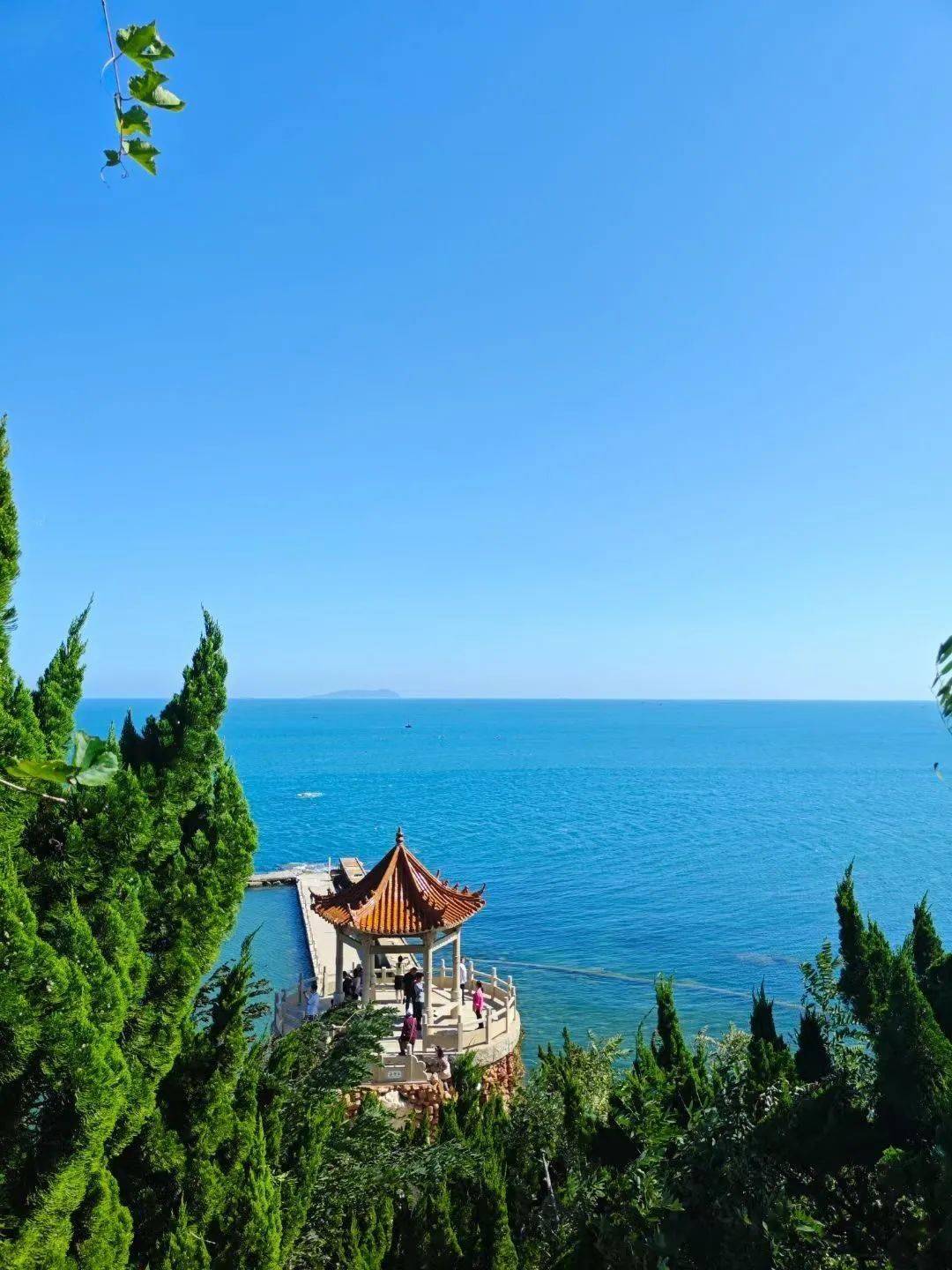 6 海上仙山,蓬莱沿线之旅,长岛美景,海鲜大餐(赠u型枕)_海岛县_海鸥