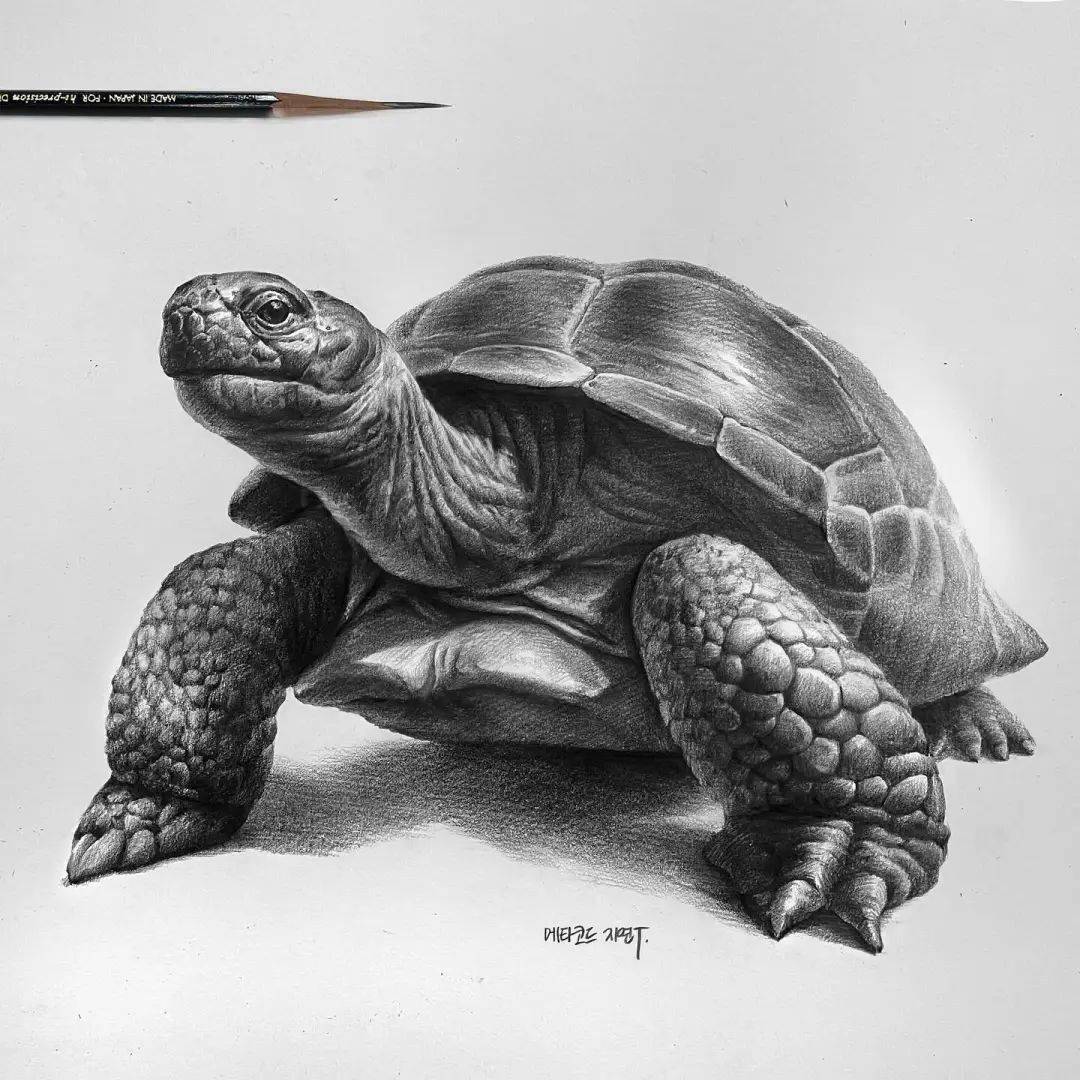 超写实素描静物:这质感和结构,一个比一个变态!