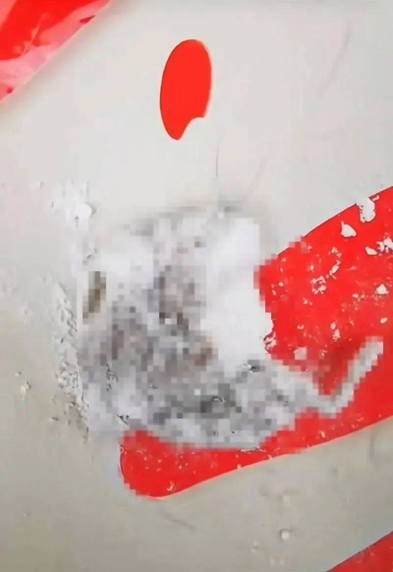 婴儿面粉中被曝有死老鼠 品牌方要求测老鼠年龄和死亡时间(图1)