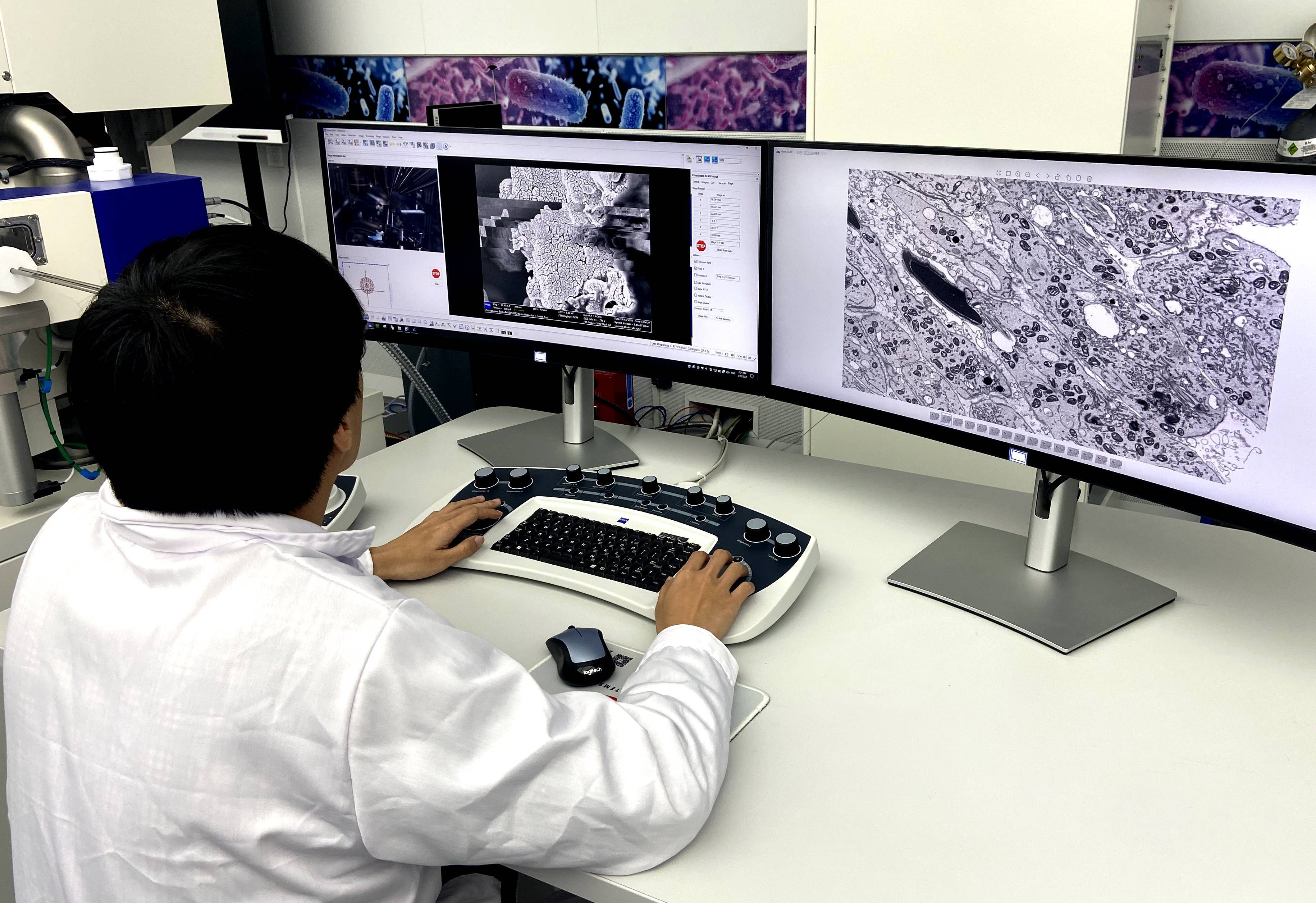 全景揭示生命奥秘：我国生物医学成像大科学设施通过国家验收