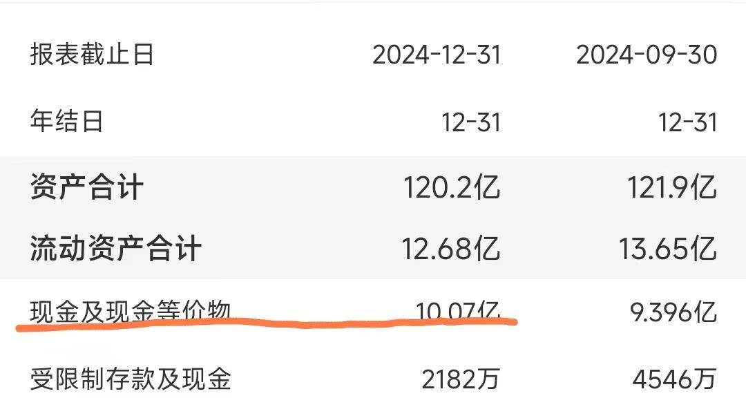 024年底，公司的流动资产为12.68亿美元，其中10亿美元为现金及现金等价物。从现有资金规模来看，