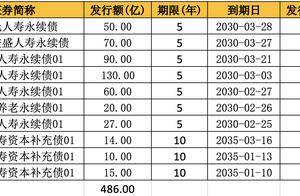 阳光、太平、泰康等10险企接力入场 永续债成险企融资新宠 2025发行有望放量