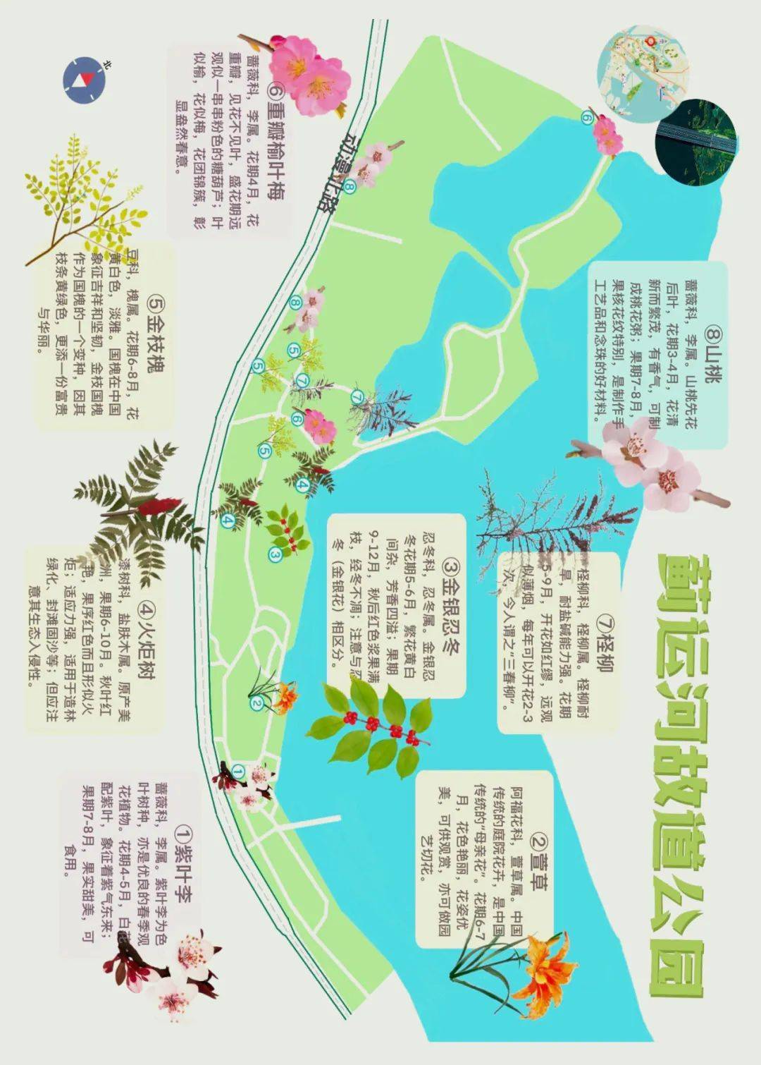 一个公园一张图!生态城赏花地图"上新"