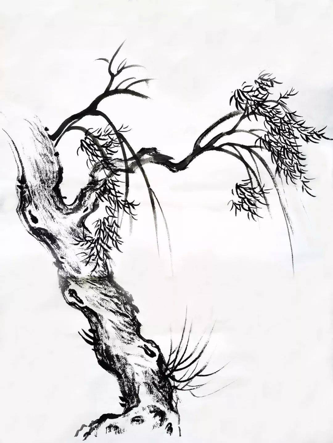 第13集:柳树的画法 预告片
