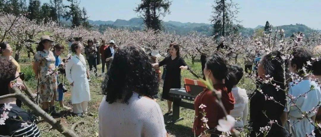 【盘州发布】盘州一桃花地里开起了“演唱会”_黄桃_大地村_石桥镇