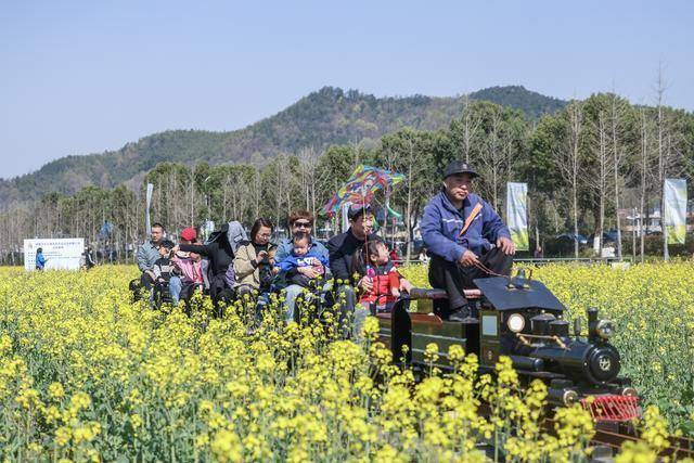 春暖花开，多地文旅市场奏响春日消费新乐章