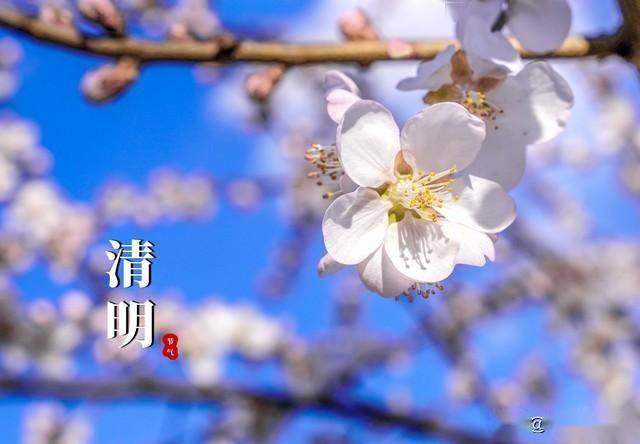 清明时节：中老年必知的饮食与行事禁忌，清明前后，这3鱼4事，中老年人和家人都要懂！