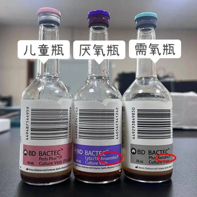 关于“血培养”,你了解多少?_血液_进行_血量