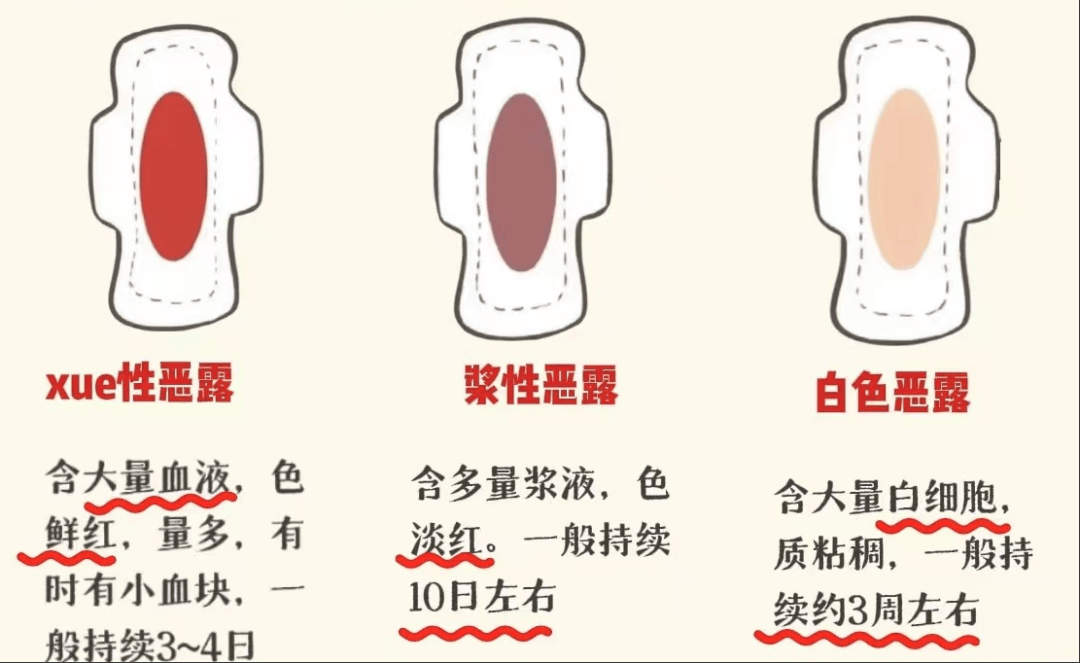 为什么阴道出血 为什么阴道出血