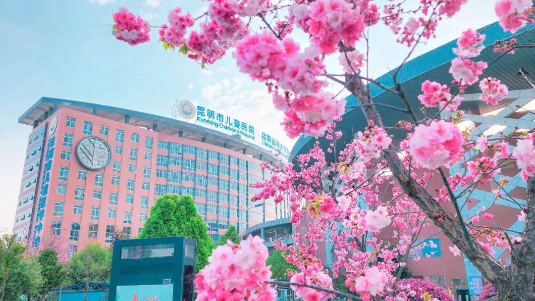 昆明儿童医院怎么选？一份写给家长的儿童就医全流程指南