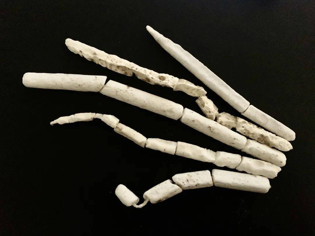 来一场愚人节的智慧较量：看图猜真假！ 愚人节狂欢：试试这超有趣的看图猜真假题目！