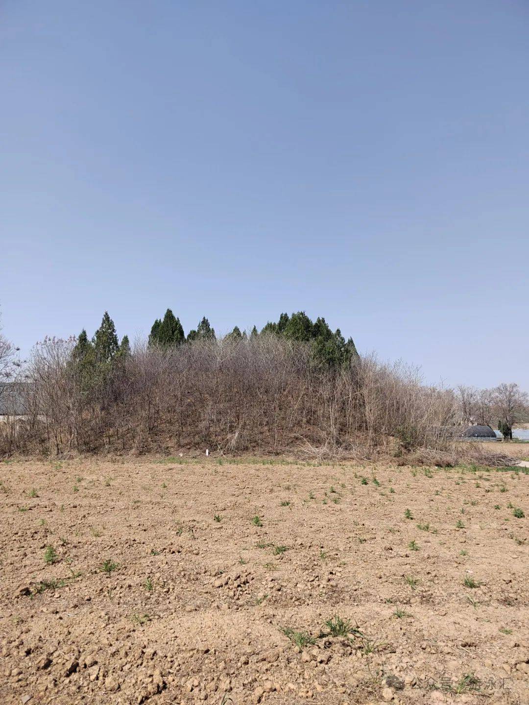 航拍邙山陵墓群m567墓冢