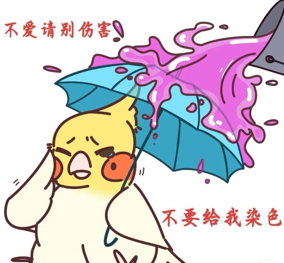 幼小的玄凤鹦鹉全身被浸泡化学染色剂，请停止以艺术之名伤害生命！（玄凤鹦鹉消毒用什么药?）