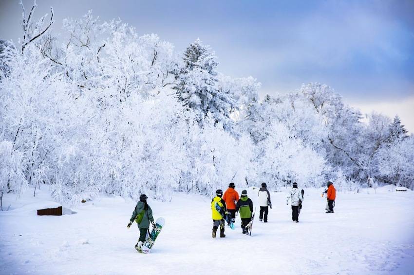 吉林新观察丨冬游吉林，何以热“雪”沸腾
