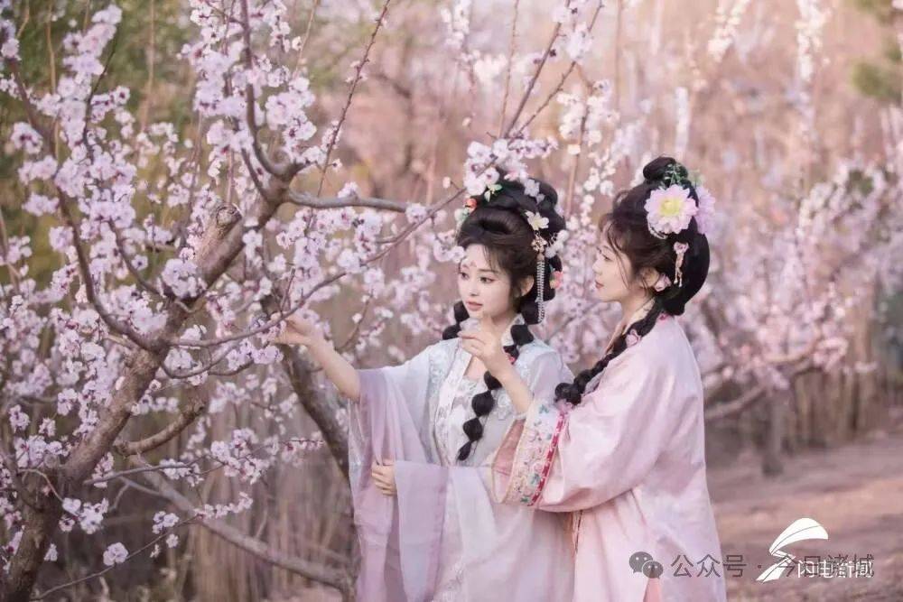 【乡村文化振兴】赏花采茶九游娱乐入口 来诸城遇见最美春天(图1)