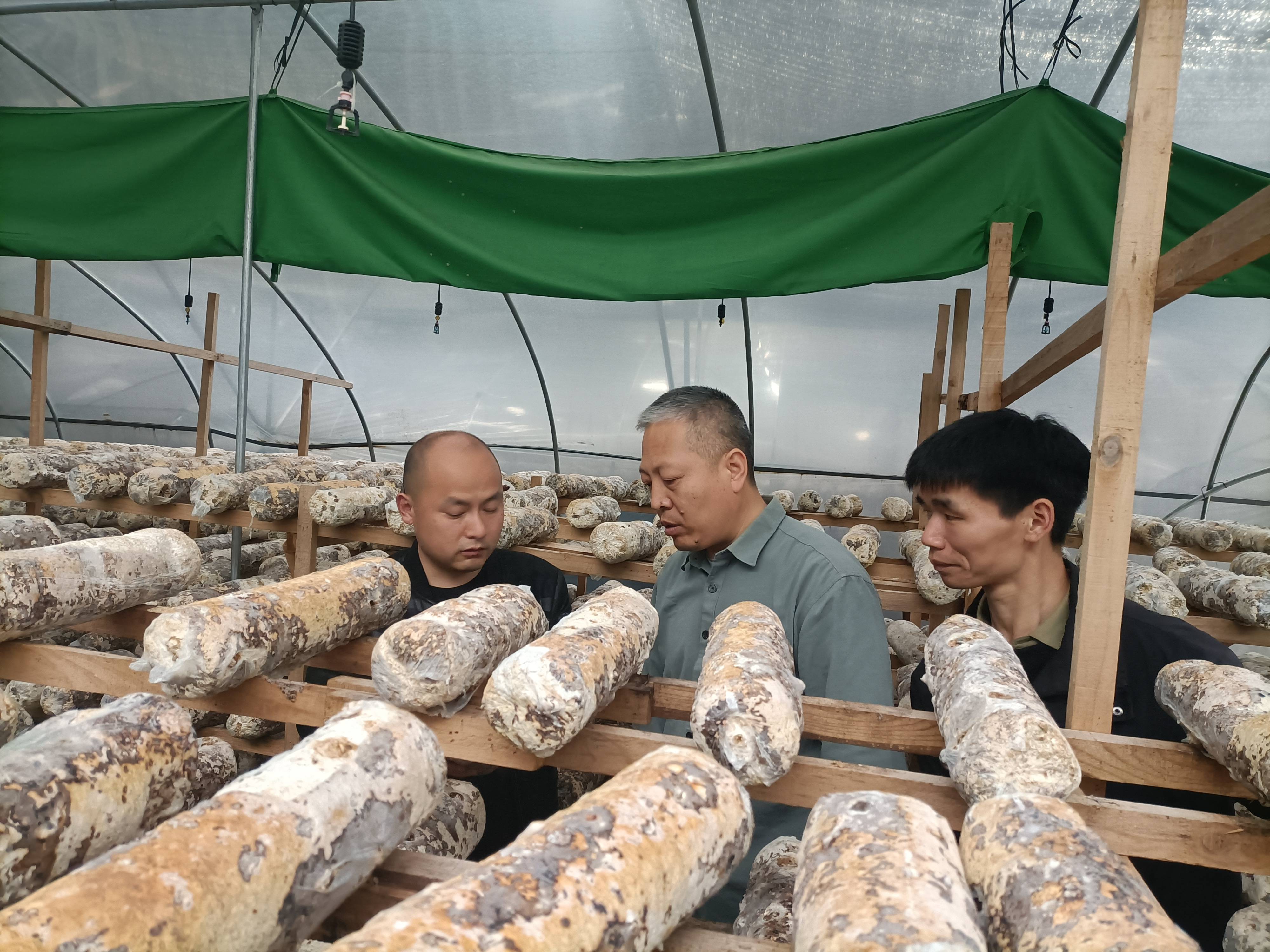 致富途径有哪些种类(致富途径有哪些种类的)