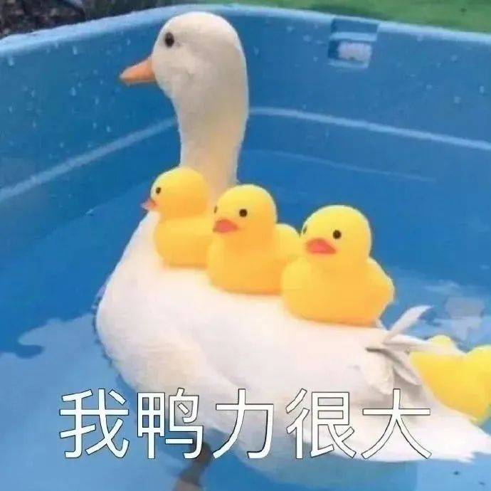 微信聊天表情包大全=微信聊天表情包大全搞笑图片