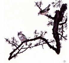 中国画技法：写意白头翁画法（白头翁怎么画简单手绘）