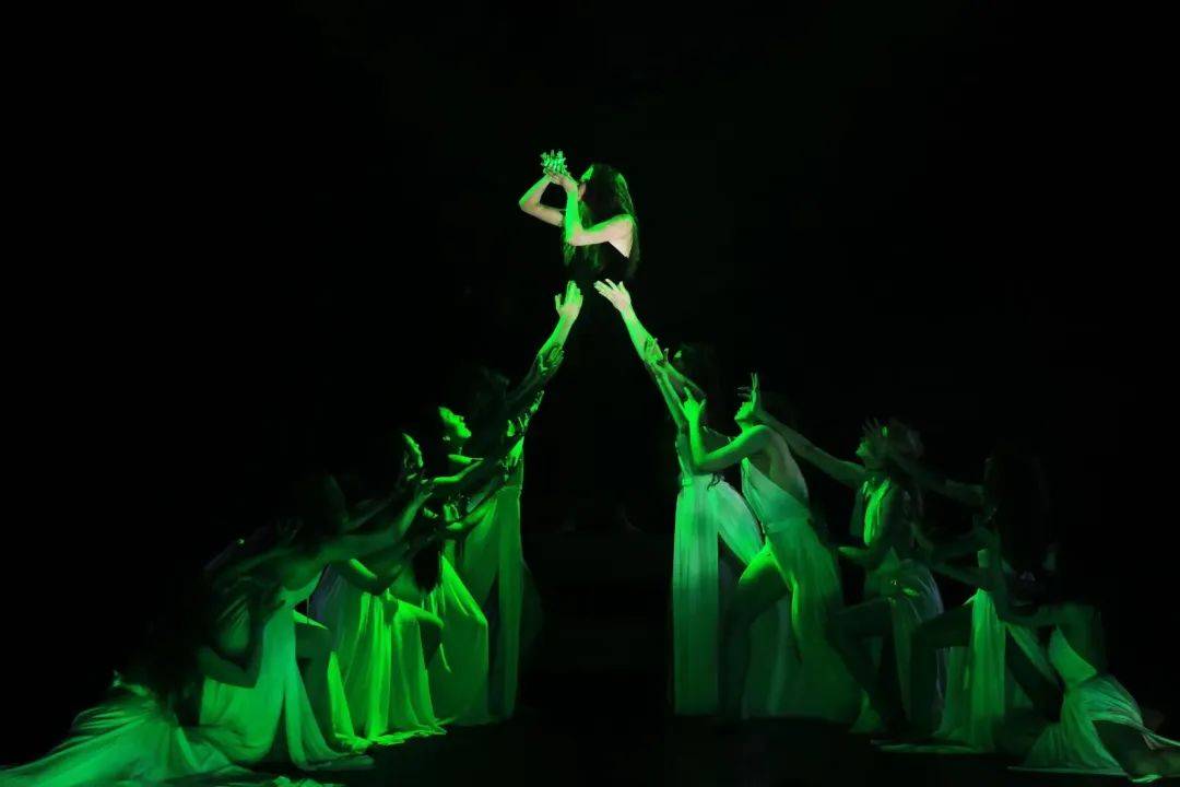 梦境迷踪,绿色蛇群与孔雀之舞——解读昨夜岛上的奇幻奇缘 梦境迷踪,绿色蛇群与孔雀之舞——解读昨夜岛上的奇幻奇缘