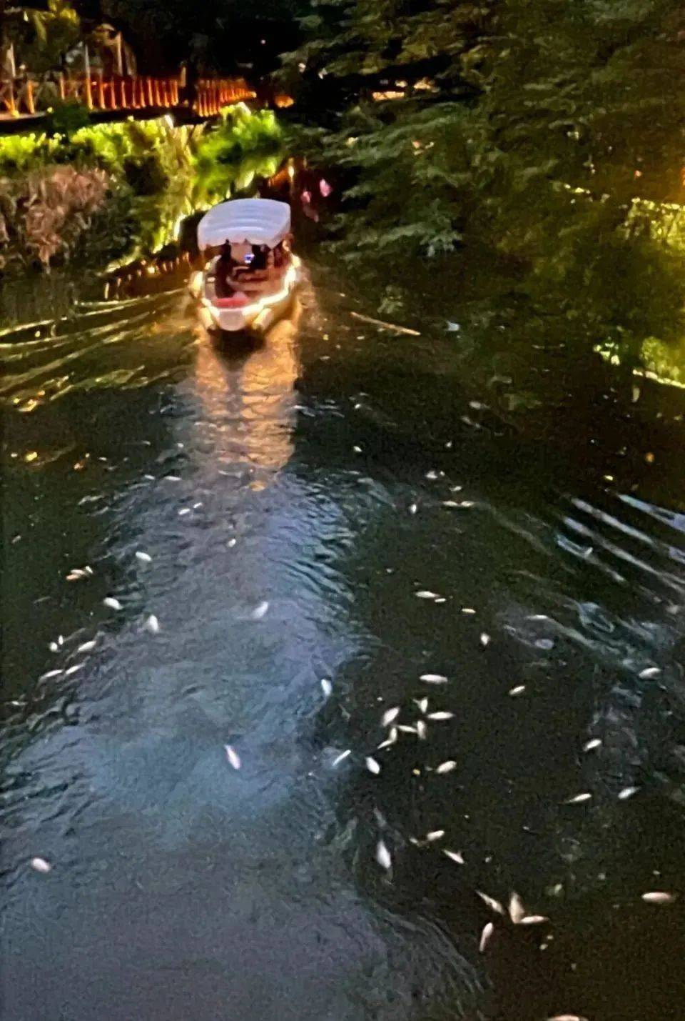 为什么鱼死了会浮起来