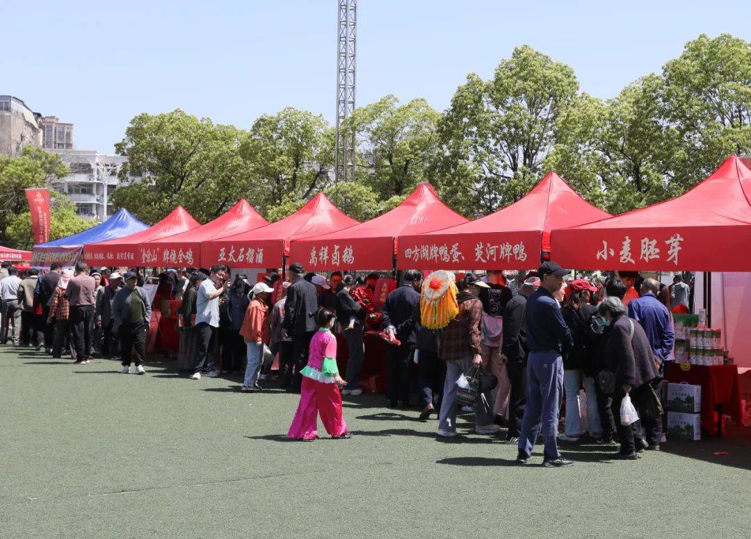 怀远县举行第三十四届花鼓灯艺术节暨文化旅游消费季活动