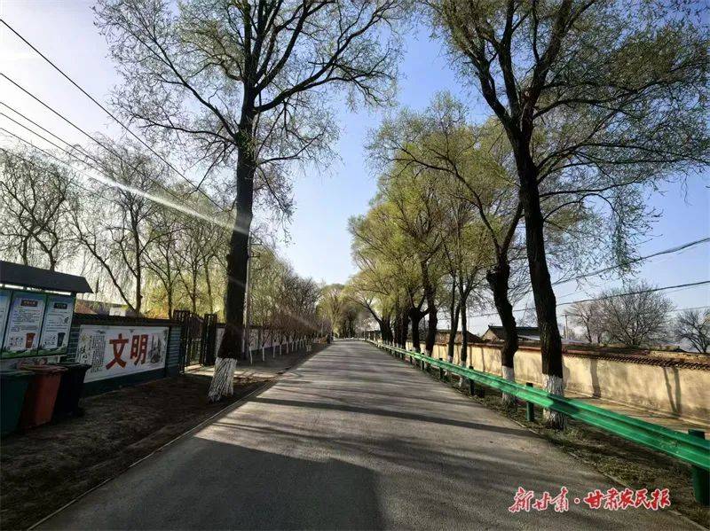 崆峒区：“美丽庭院”绘就乡村治理新画卷(图2)